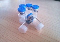 Sevelamer Hydrochloride Sevelamer HCl Kidney Cancer Drugs