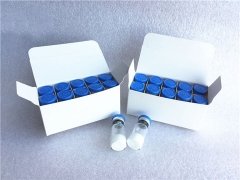 Selank Synthetic Nootropic Anxiolytic Peptide